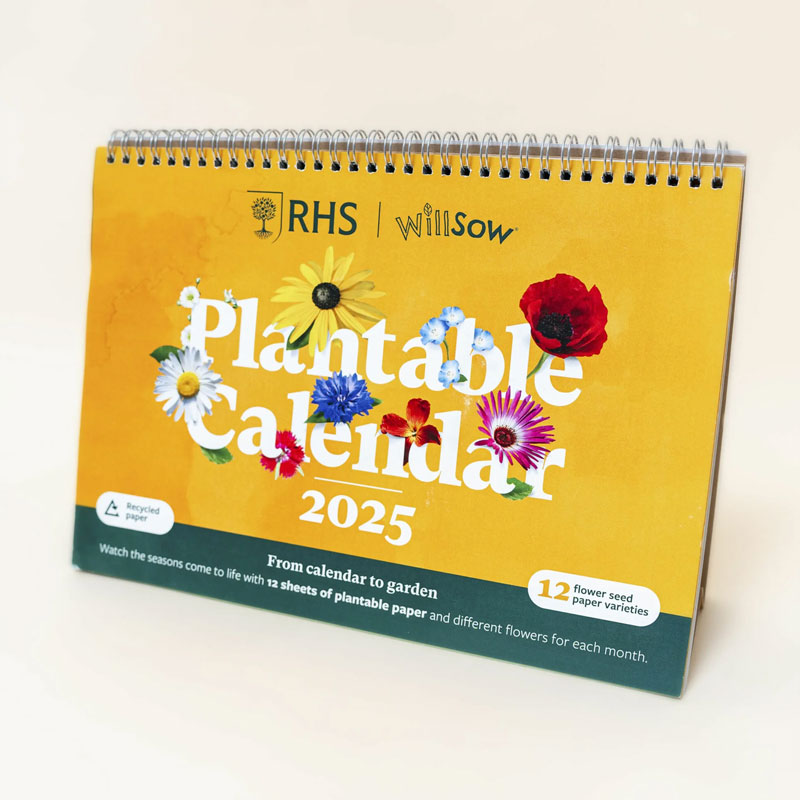 Plantable A5 Desk Calendar