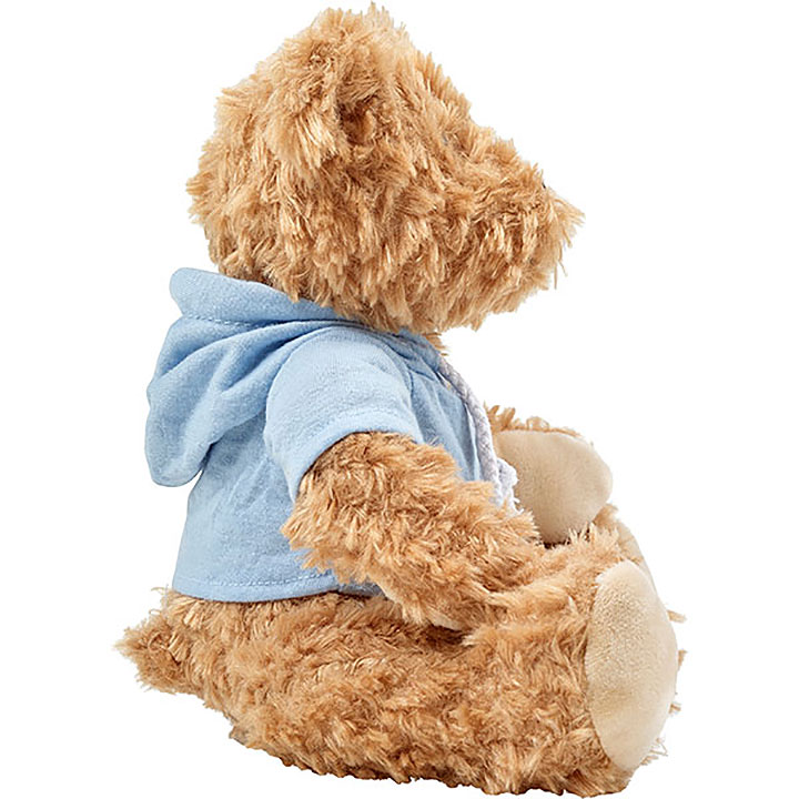 Teddy Bear with Hoodie | LSi