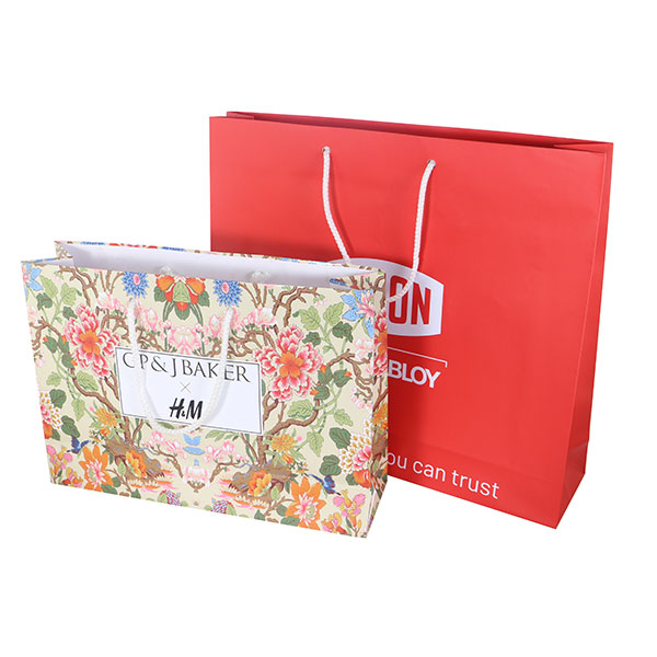 Landscape Laminated Paper Carrier Bag - Small