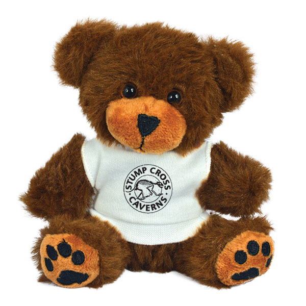 5 Inch George Bear With White T-Shirt - Full Colour