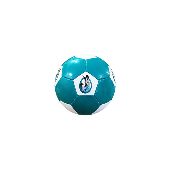 Full Size Promotional Football - Full Colour