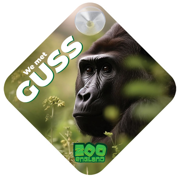 Window Sticker 130 cm² - Full Colour