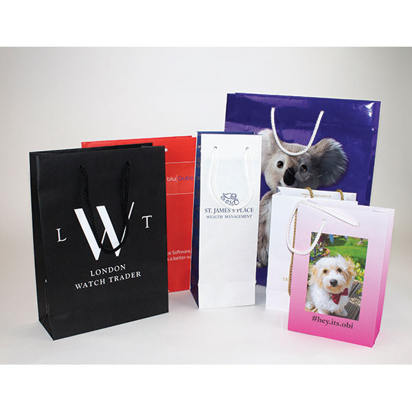 Size 3 Laminated Paper Carrier Bag - Full Colour