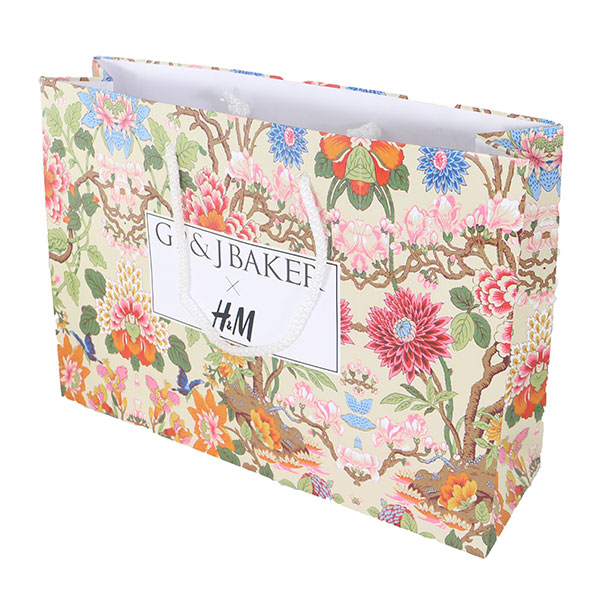 Landscape Laminated Paper Carrier Bag - Small