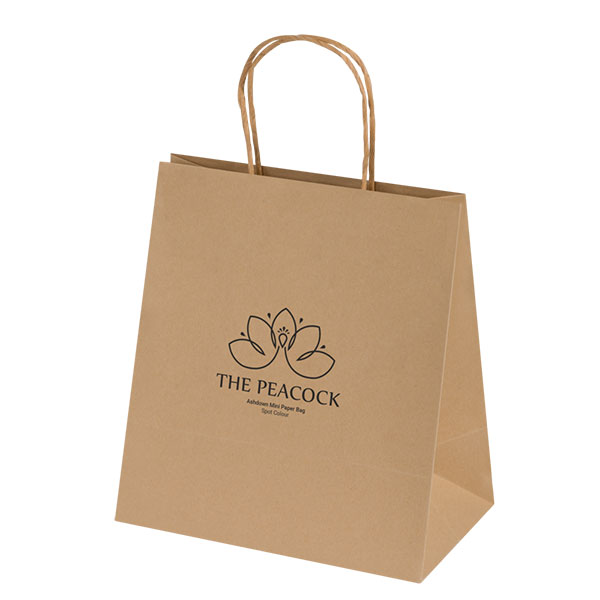 Ashdown Mini Natural Kraft Paper Gift Bag - Full Colour