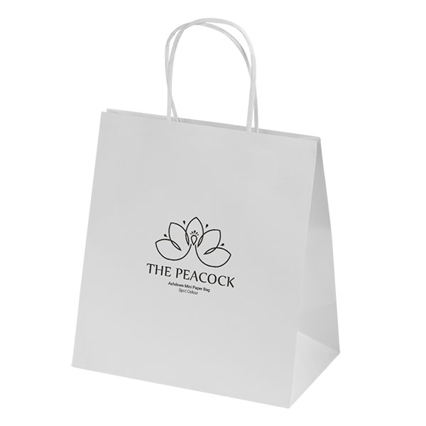 Ashdown Mini White Kraft Paper Gift Bag - Spot Colour