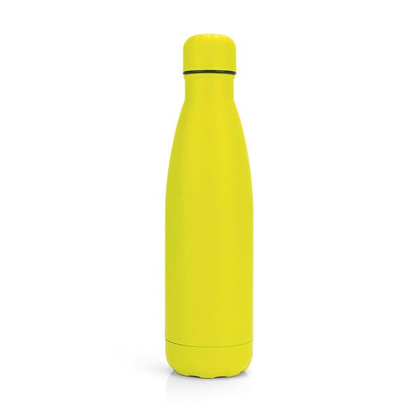 Tide Bottle