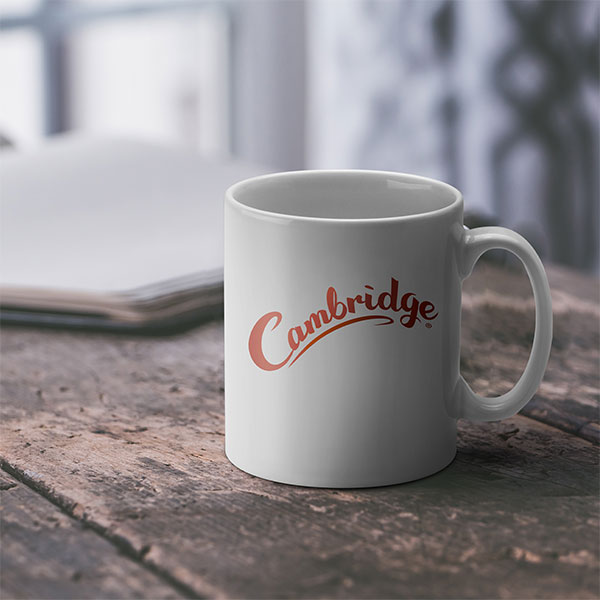 Cambridge Earthenware Mug - White